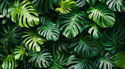 Exploring tropical foliage patterns lush greenery digital art tropical environment aerial view botanical design