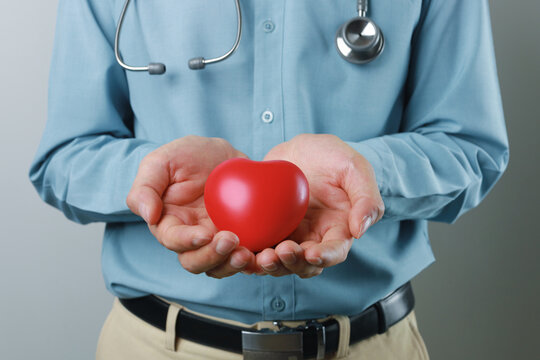doctor giving a red heart, health care, organ donation, family life insurance. hospital life insurance concept, world heart health day. doctor day.