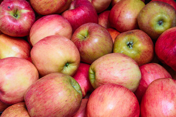 Close-up of Fresh Red Apples with Vibrant Colors