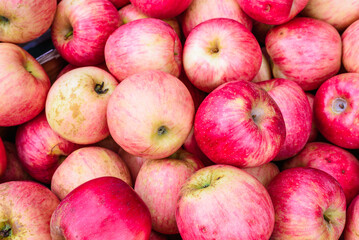 Close-up of Fresh Red Apples with Vibrant Colors