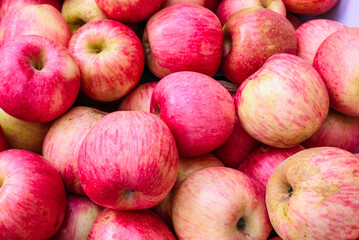 Close-up of Fresh Red Apples with Vibrant Colors
