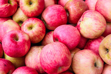 Close-up of Fresh Red Apples with Vibrant Colors