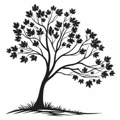 Fototapeta premium Maple tree silhouette vector illustration
