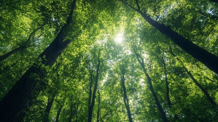 Promoting environmental sustainability via global forest conservation and eco-friendly practices