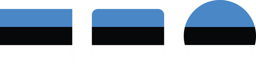 Obraz premium Estonia Flag Variations: Rectangular and Curved Shapes