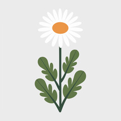 A Flat-Style daisy flower on a Plain White Background