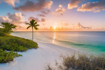 tropical beach sunset