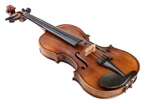 Violin performance concert hall music instrument indoor isolated on transparent background
