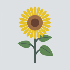 A Flat-Style Sunflower on a Plain White Background