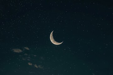 Naklejka premium A crescent moon and countless stars illuminated a dark sky