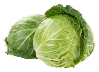 Obraz premium Harvesting fresh green cabbage farm field food outdoors isolated on transparent background