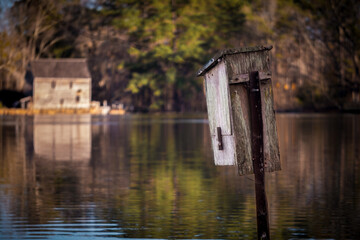 A Wood Duck box in the millpond. Historic Yates Mill County Park