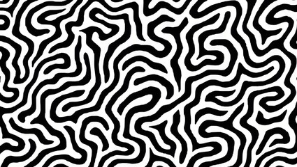 Abstract Black and White Zebra Stripe Pattern