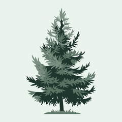 A Flat-Style pine tree on a Plain White Background