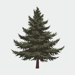 A Flat-Style pine tree on a Plain White Background