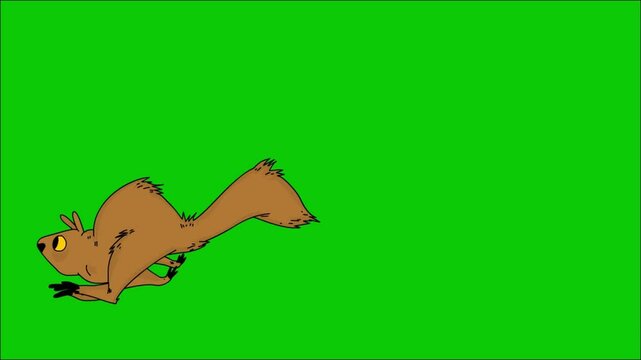 Stunning 2D animation of a cream squirrel running across a bright green screen background. The animated footage shows the squirrel's graceful movements, powerful strides, and agile body shape.