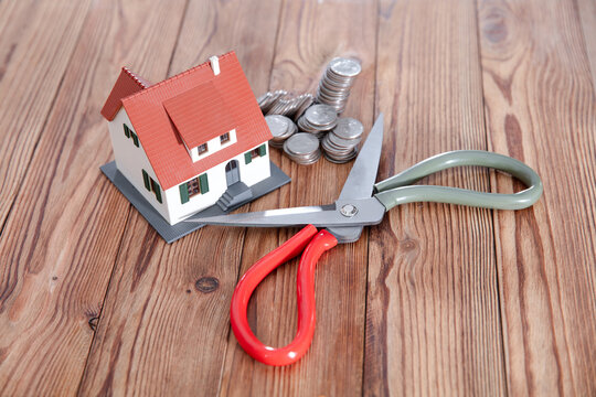 Scissors cut out the cost house model