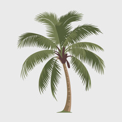A Flat-Style palm tree on a Plain White Background