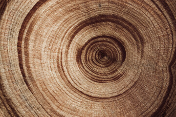Fototapeta premium Wood pattern, detailed view of wooden texture with natural tree rings of juniper, eco textures earthy tones, dark color, Macro trend photo, circular growth patterns and organic beauty of material