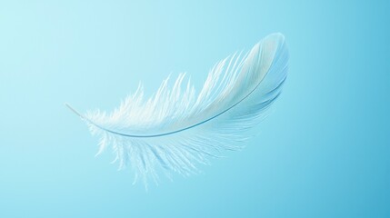 Obraz premium Lightness and Grace Gentle Floating Feather on Sky Blue Backdrop Calm Stillness and Tranquility