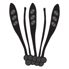 Ascospores glyph icon