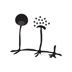 Sporangiospores glyph icon