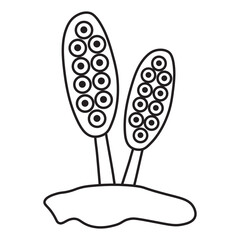 Ascospores line icon