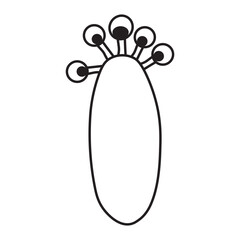 Basidiospores line icon