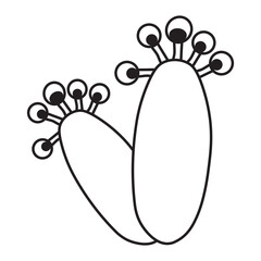 Basidiospores line icon