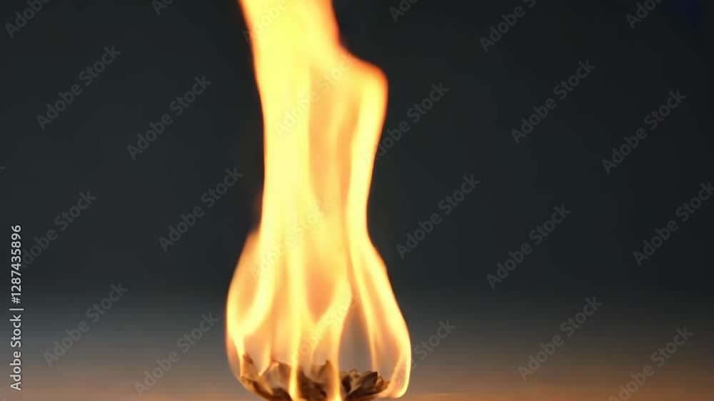 Poster flames dancing gracefully above a small object against a dark backdrop in a controlled environment