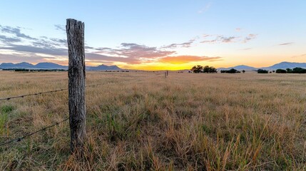 Sunrise over grassy plains, fence post, mountains. Landscapes