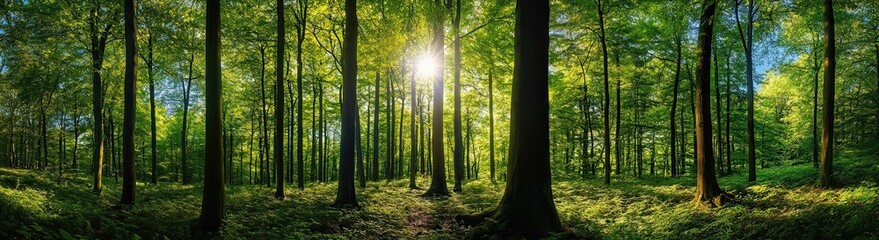 Obraz premium Creative environmental awareness metaphor of small tree sprouting in light bulb, clean energy concept for eco campaigns.