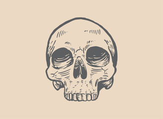 Illustration of an Head Skull Engraving