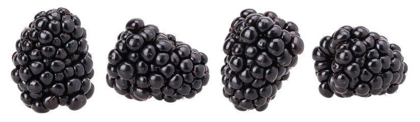 Close-up, Blackberry isolated, transparent PNG, PNG format, collection, set