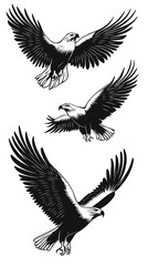Fototapeta premium Eagles in Flight, Graphic Design, Tattoo
