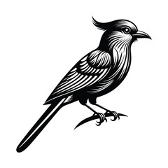 vector illustration of a bird