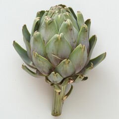 A large artichoke with green leaves and a long stem.