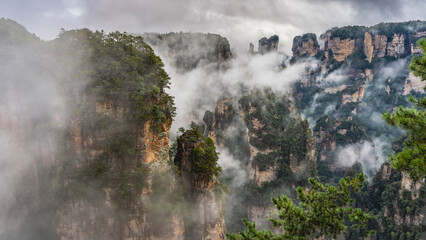 Beautiful mystical landscape. The tall mountain pillars are shrouded in fog. Peaks in the clouds. Green vegetation on the steep slopes of the cliffs. China. Zhangjiajie National Forest Park. Avatar