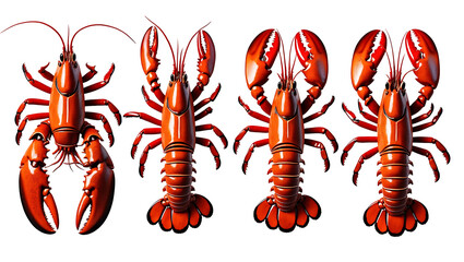 Set of detailed lobsters in different poses, high-resolution PNG images for seafood branding, restaurant menus, and marine-themed projects