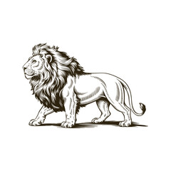 Vintage engraving woodcut lion vector illustration art design