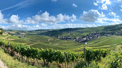 Fototapeta premium Serene vineyard landscape view under fluffy clouds, captures panoramic hills and small village in distance