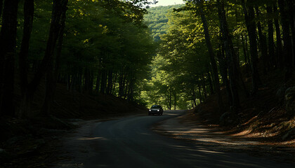 Obraz premium Serene drive through a sun-dappled forest, car on winding road, nature's tranquility.