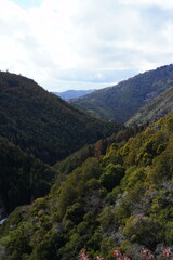 Fototapeta premium 日本の山の風景