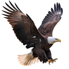  Majestic bald eagle in mid-flight with wide-spread wings and sharp talons, isolated on transparent background PNG