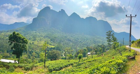 panorama of the mountains