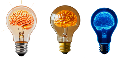 Creative idea concept with illuminated light bulbs and brain illustration