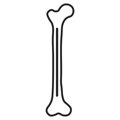 Bone marrow line icon
