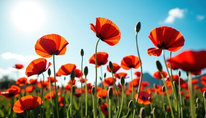 Obraz premium Red poppies sway in a vibrant field under a bright moonlit sky with fluffy clouds at dusk