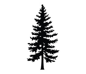 Fototapeta premium Simple Silhouette of a Majestic Evergreen Tree