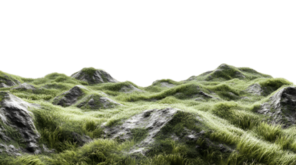 green moss on the rock